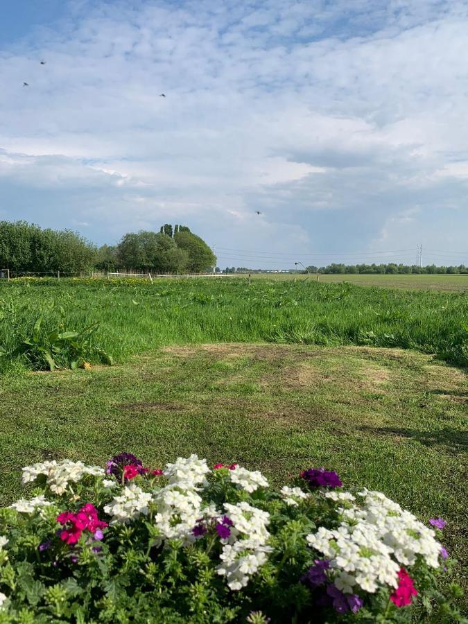 Bed and Breakfast Fields 1216 Zwaanshoek Экстерьер фото